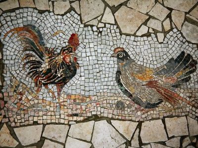 Polli, pollastri, galline vecchie e una bella ricetta di Apicio