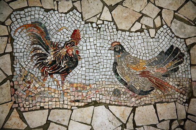 Polli, pollastri, galline vecchie e una bella ricetta di Apicio