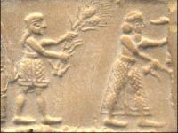 Quella focaccina di cipolla che piaceva tanto ai sumeri