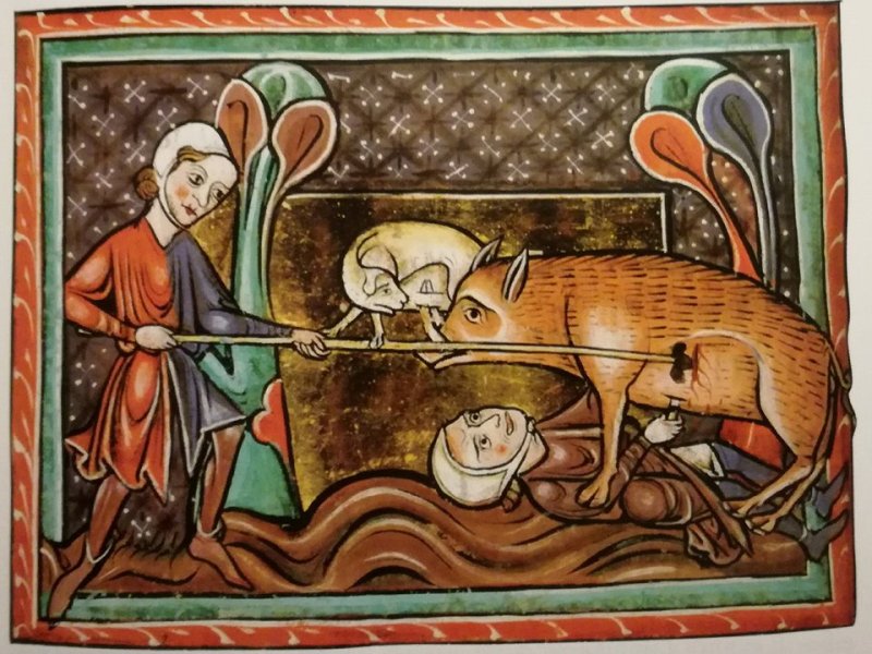 Il cinghiale di Adelchi, che mangiava come un leone