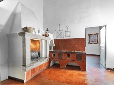 “Garibaldi il vegetariano” e il minestrone al pesto