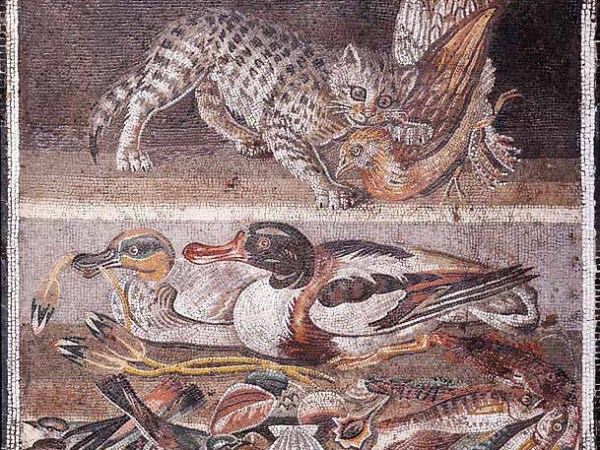 Anatra all’ arancio? Meglio le prugne, secondo Apicio…