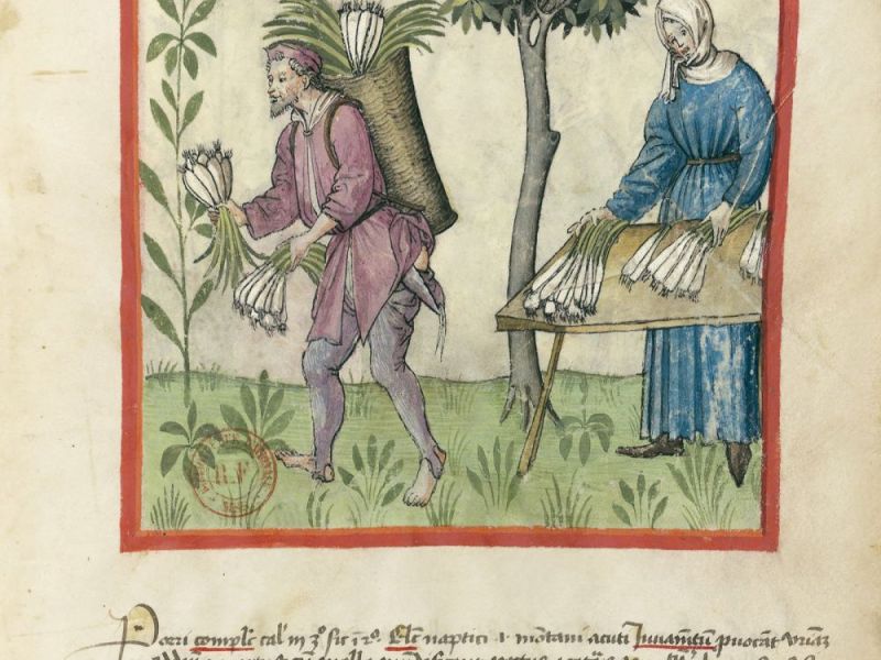 Il Maestro, Margherita e i porri