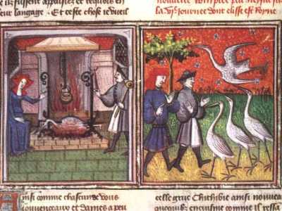 Chichibio e…il pollo