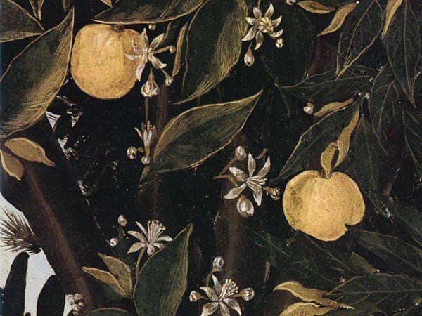 Garofani e papere. Contaminazioni duecentesche