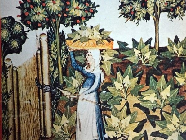 Pasqualina quaresimale