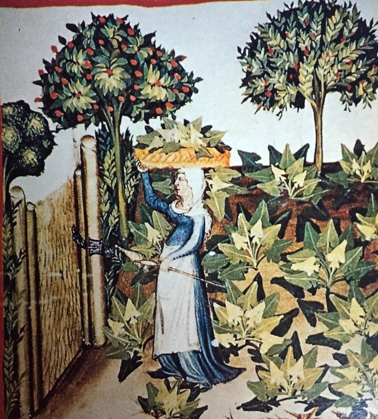 Pasqualina quaresimale