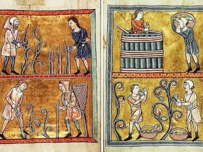 Luglienchis, l’uva medievale di S.Anna