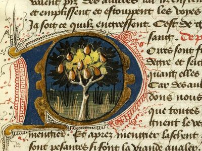 De pyris. Anche al microonde. ( XI sec.)