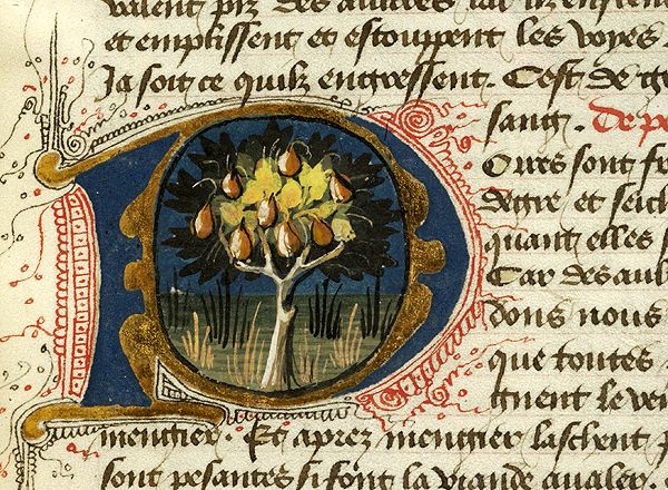 De pyris. Anche al microonde. ( XI sec.)