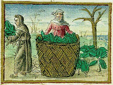 Ribollita: la zuppa ‘cool’ con 4 bisnonne.