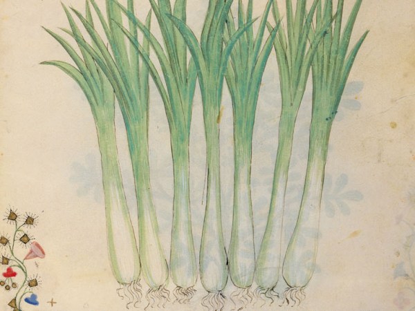 L’icontestabile modernitá di Dante. E dei porri