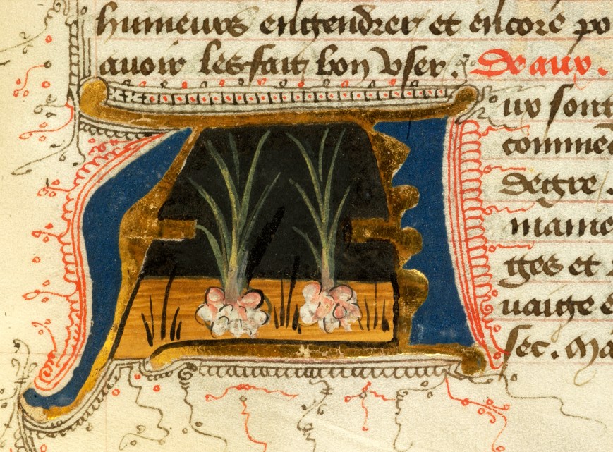 Uova all’ aceto per re frettolosi (XII sec)