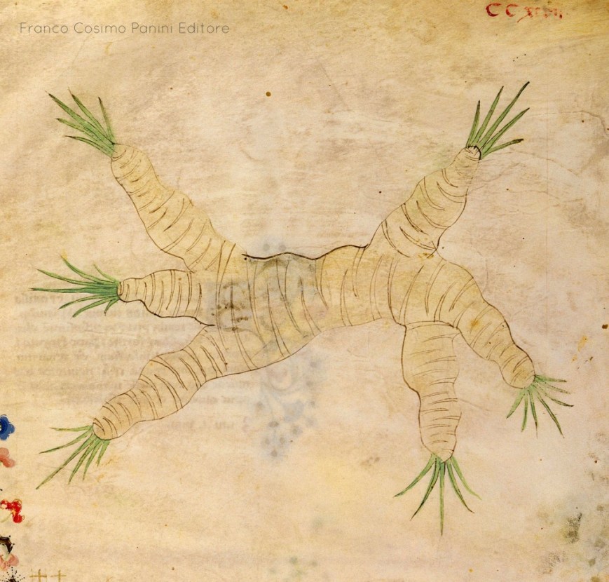 Salsa vegana per efferati cacciatori (XIII sec.)