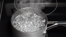 Making nectar for your hummingbird feeder — Chase Moxley