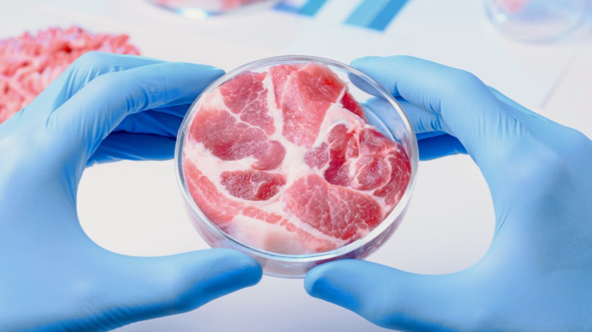 WEBINAR -TAVOLA ROTONDA IL FUTURO DELLA CARNE, LA CARNE DEL FUTURO